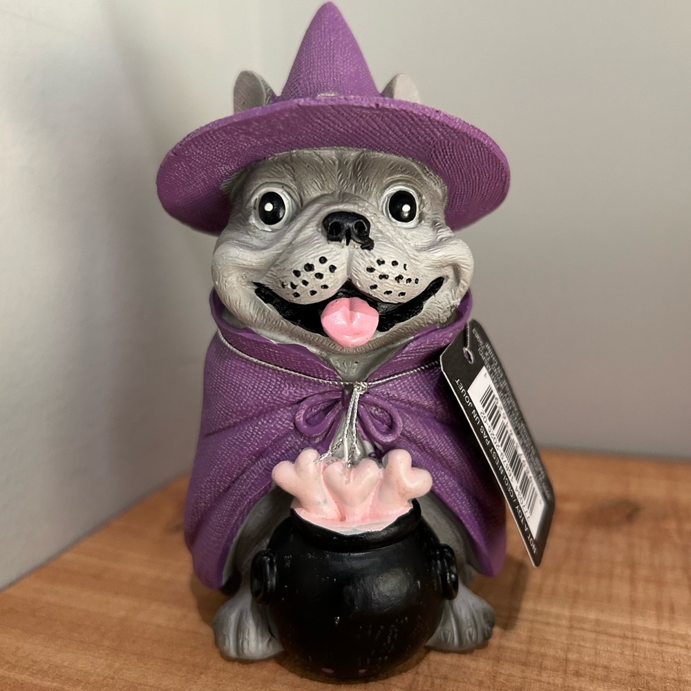 NWT Dog in Witch Costume